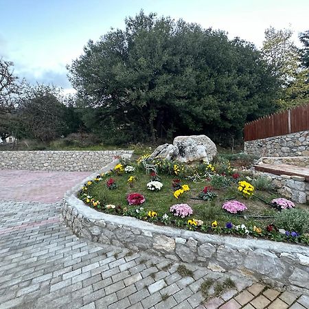 Parnassos Chalets 아라초바 외부 사진