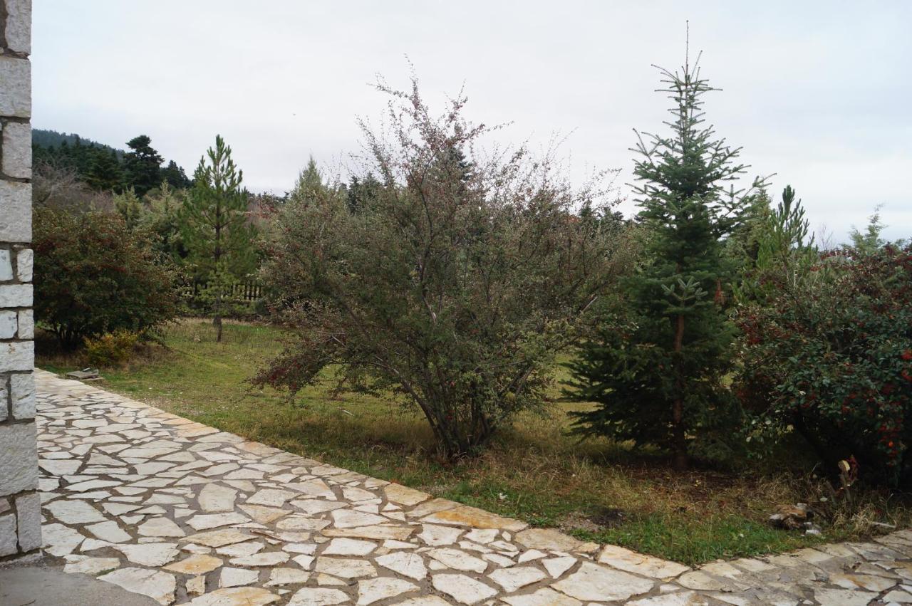 Parnassos Chalets 아라초바 외부 사진